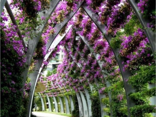 Туннель украшенный цветами