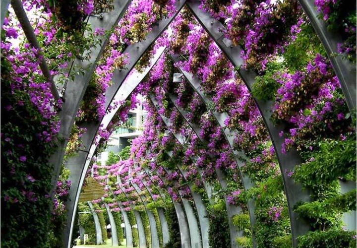 Туннель украшенный цветами