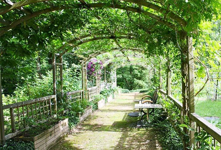 Садовая пергола-туннель с вьющимися растениями